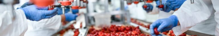 Agri-food, primary production & processing of agricultural products, fisheries